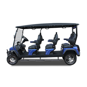 HDK D5 Electric Golf Cart: Specifications, Range and Best Use Cases